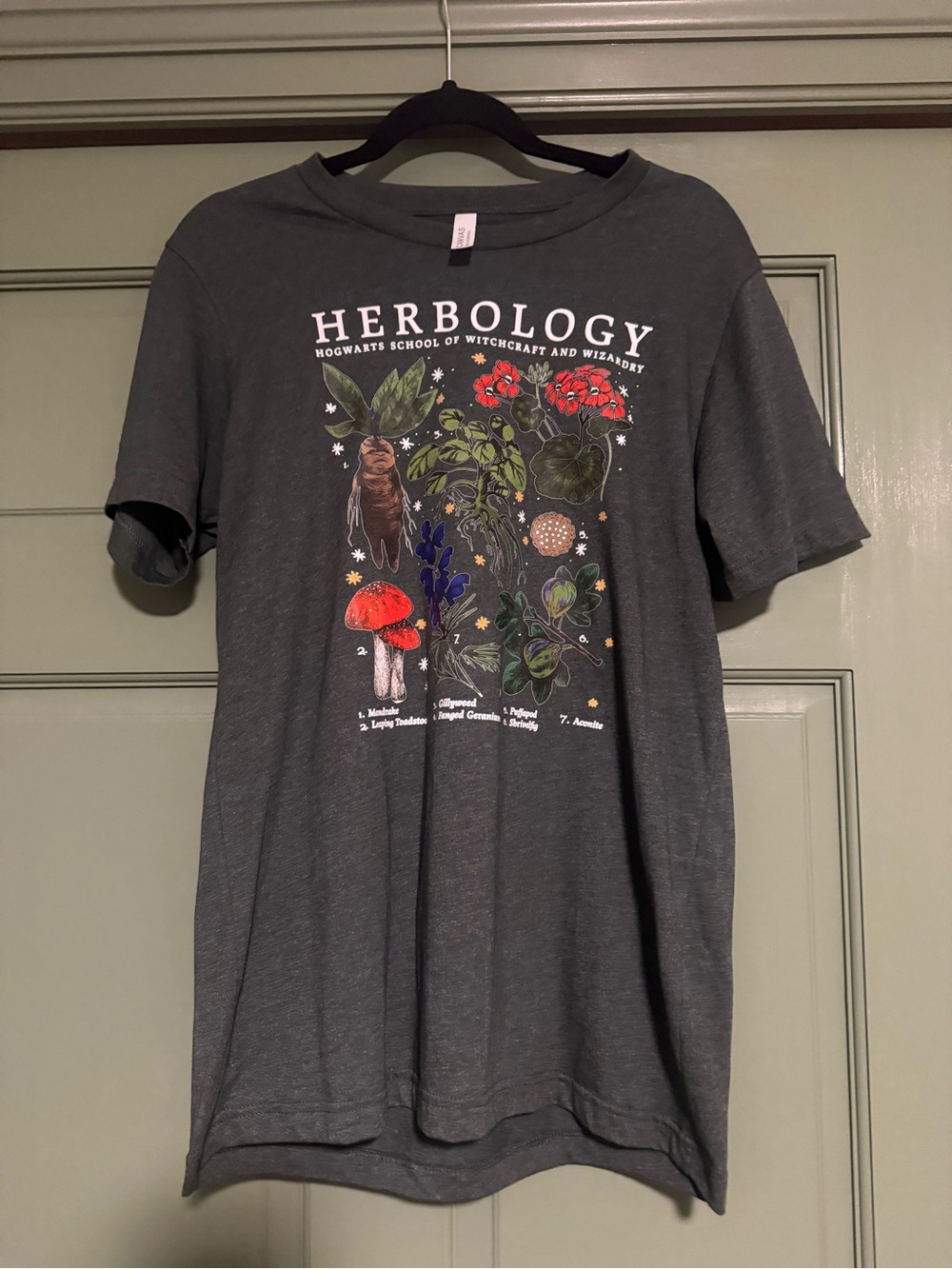 Bella Canvas Charcoal Gray Harry Potter Herbology Graphic Tee